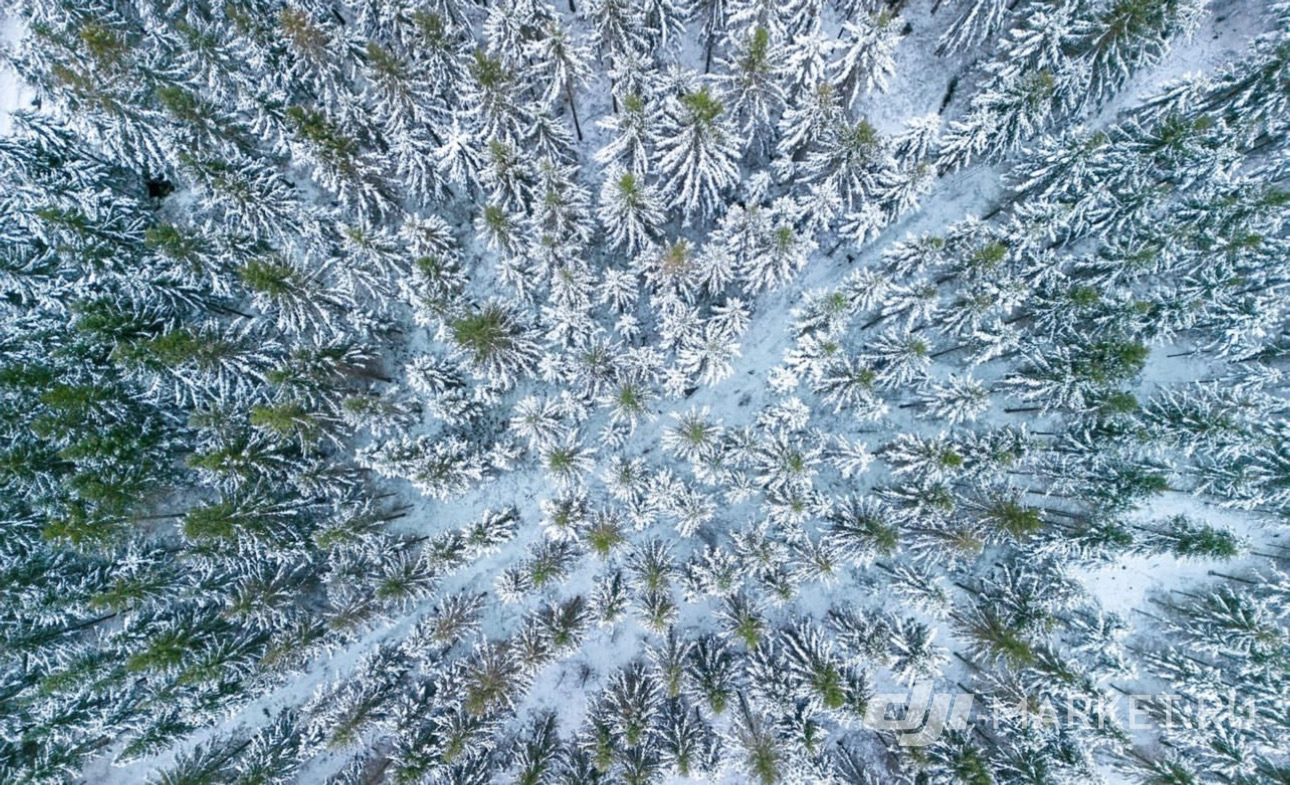 Завораживающие зимние фотографии, сделанные при помощи квадрокоптера DJI🌲✨